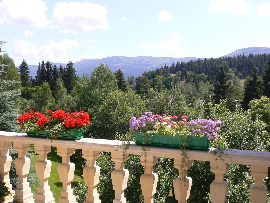 Hotel Villa Romantica Шклярська Поремба Екстер'єр фото