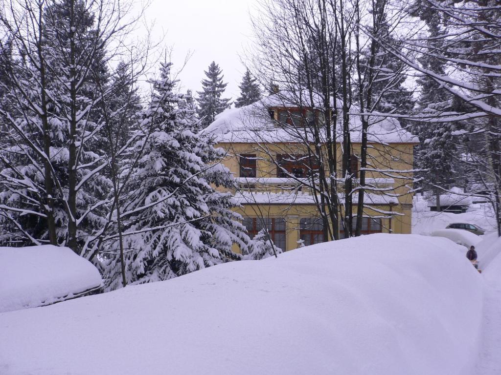 Hotel Villa Romantica Шклярська Поремба Екстер'єр фото