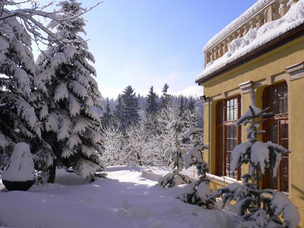 Hotel Villa Romantica Шклярська Поремба Екстер'єр фото